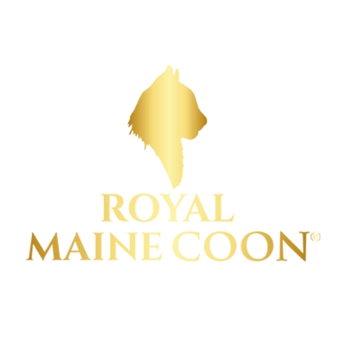 royalmainecoon