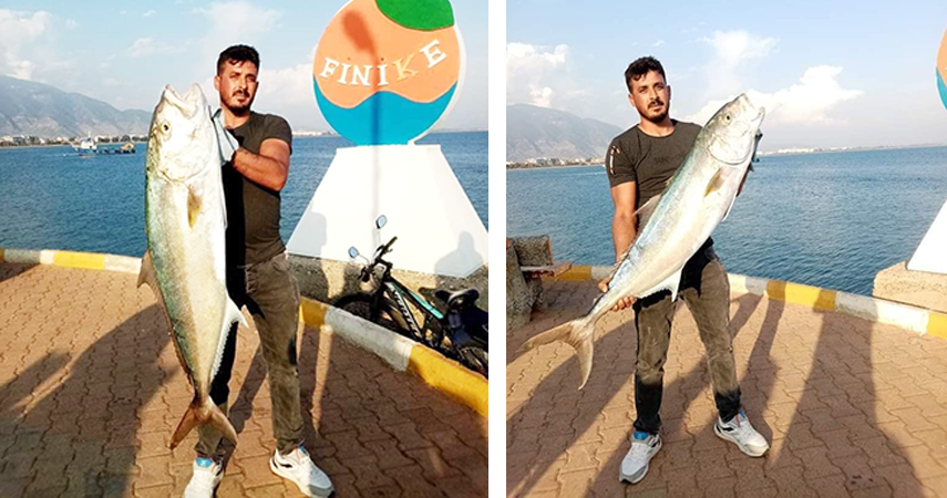 Kıyıdan 17 kiloluk kuzu balığı avladı     