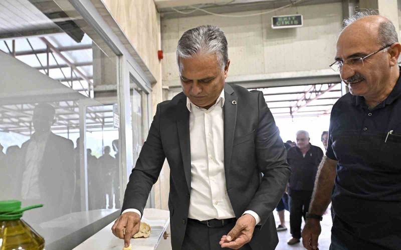 Uysal, ‘Zeytin rekoltemizi arttırmamız lazım’