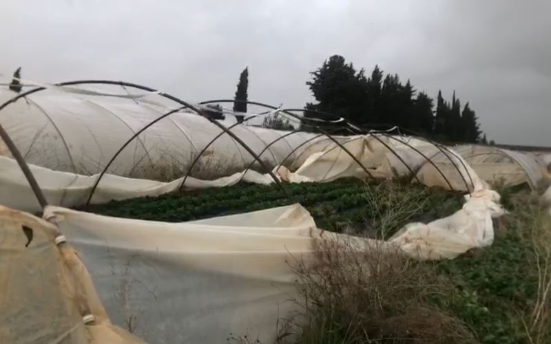 Antalya’da şiddetli yağmur ve fırtına çilek seralarına zarar verdi
