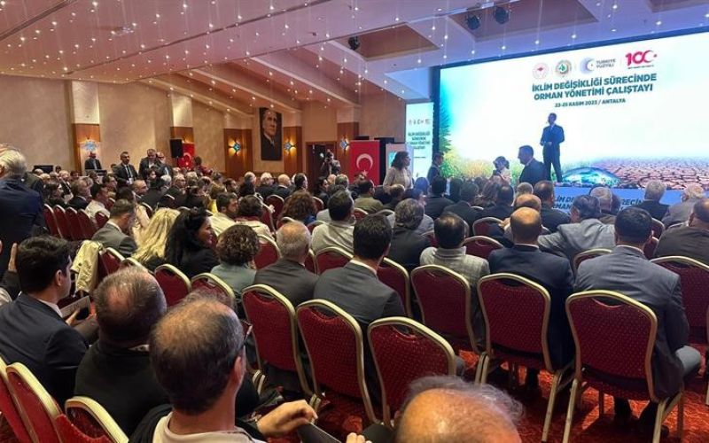 İklim Değişikliği Sürecinde Orman Yönetimi Çalıştayı sona erdi
