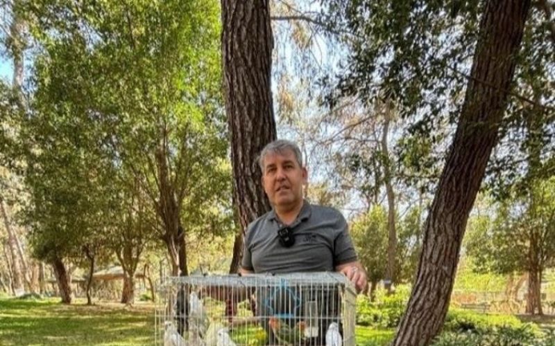 Antalya’da papağan operasyonu: 41 papağan ele geçirildi

