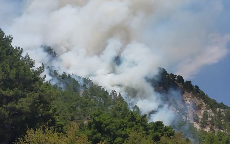 Kumluca’daki orman yangınını söndürme çalışmaları sürüyor
