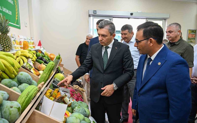 Antalya Valisi Hulusi Şahin Alanya’da
