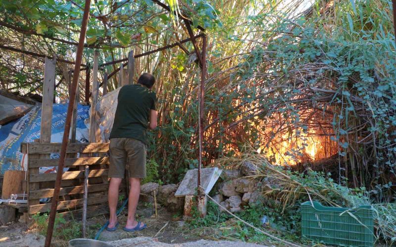 Antalya’da sazlık yangını: 3 sera zarar gördü
