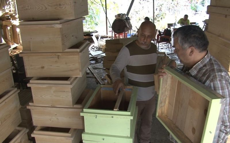 Türkiye’nin arı kovanları Alanya’dan
