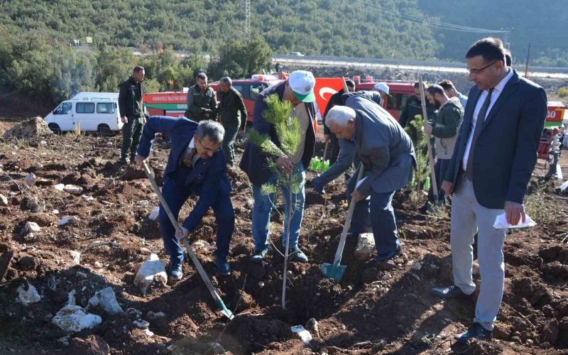 Korkuteli’nde 500 fidan toprakla buluştu
