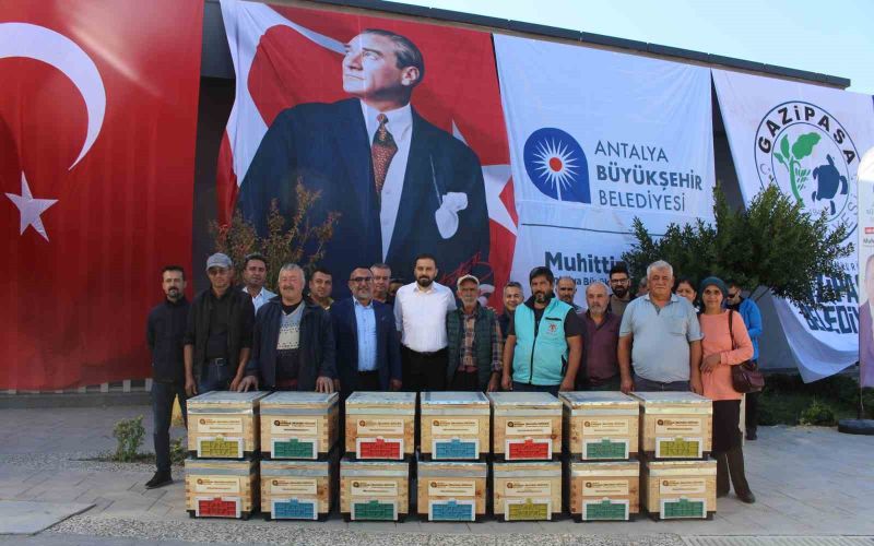 Büyükşehir’den Gazipaşalı arıcılara kovan desteği
