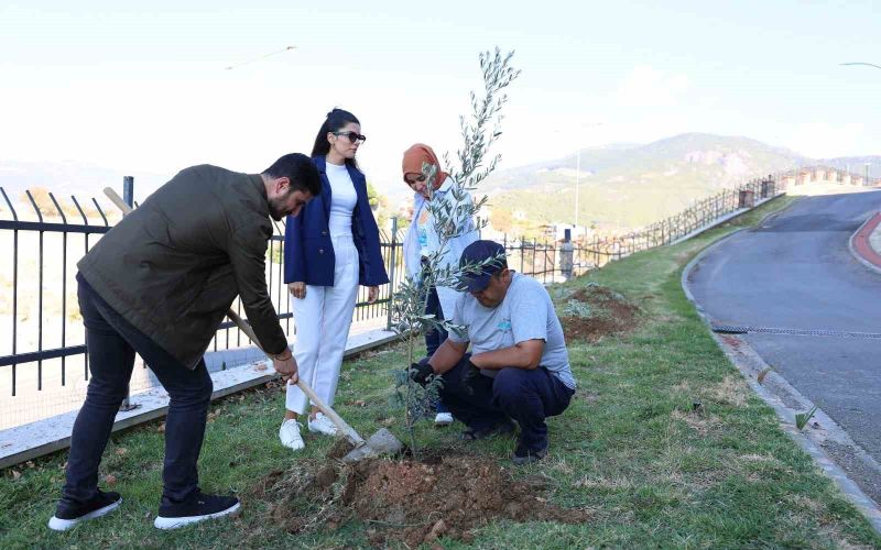 ALKÜ’de zeytin ağacı dikimi yapıldı
