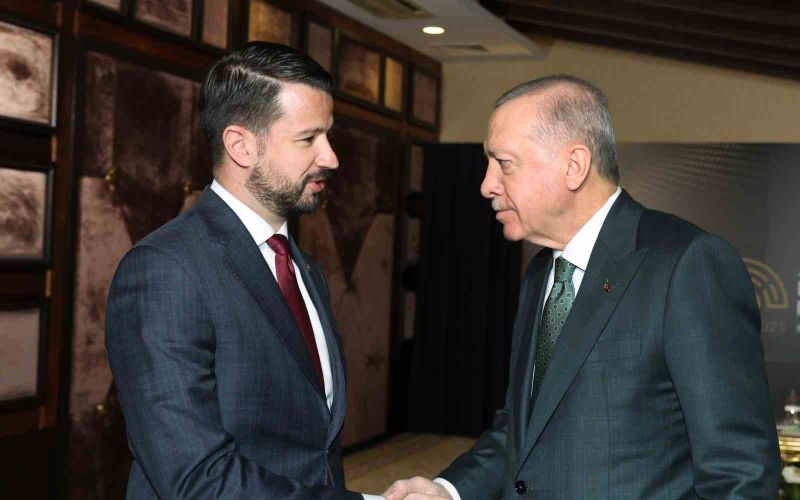 Cumhurbaşkanı Erdoğan, Karadağ Cumhurbaşkanı Milatoviç ile görüştü

