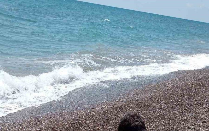 Serik’te ölü caretta caretta sahile vurdu
