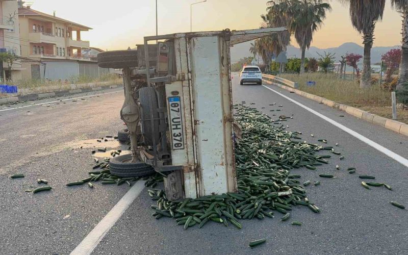 Salatalık yüklü kamyonet devrildi: Salatalıklar yola savruldu
