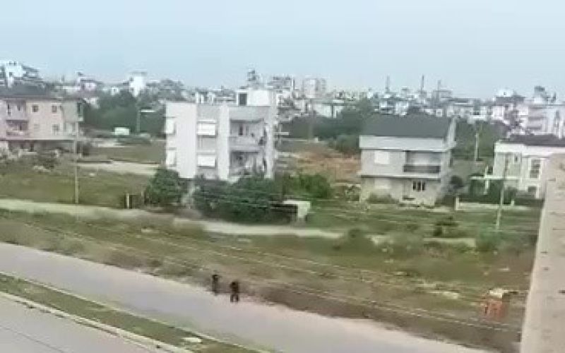 Vatandaşı darbeden polis memurlarına görevden uzaklaştırma

