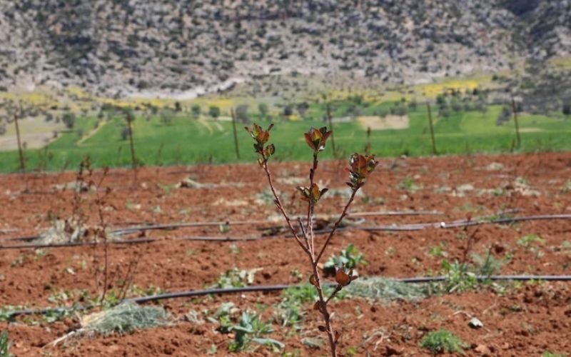 Antalya’da tarımsal sulama projeleriyle tersine göç hızlandı
