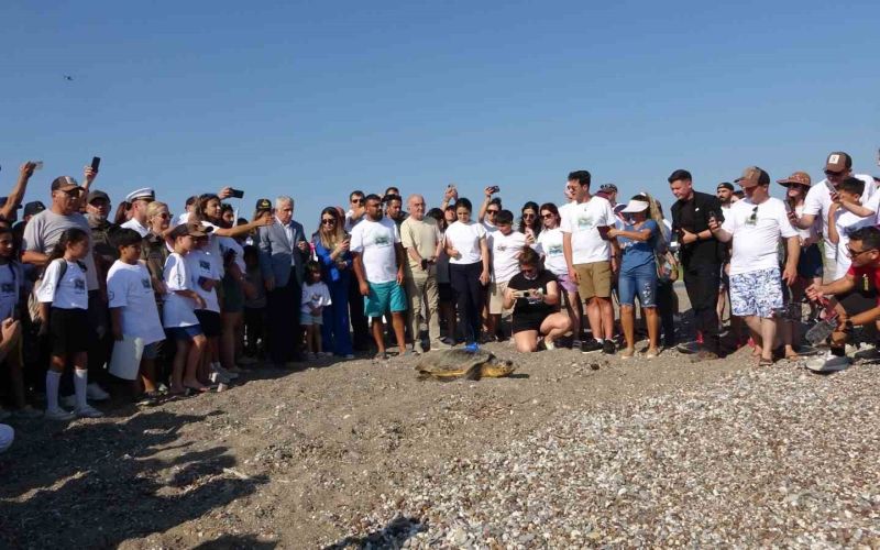 Antalya’da deniz kaplumbağaları çip takılarak denize uğurlandı
