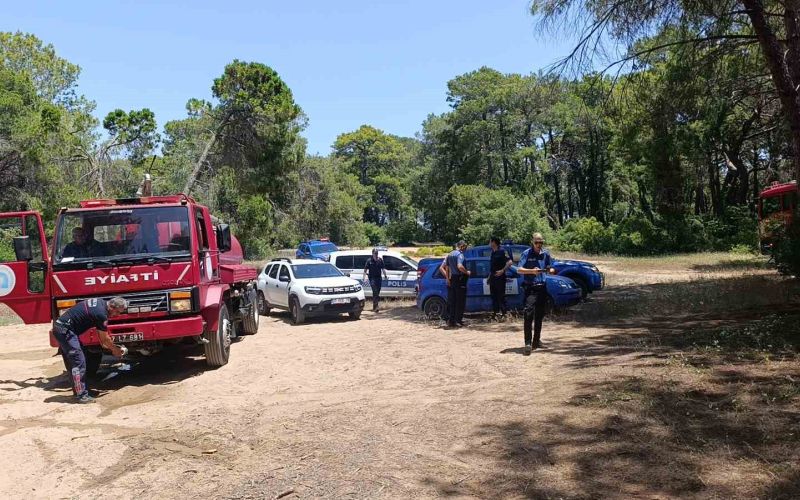 Manavgat’ta çalılık yangını büyümeden söndürüldü
