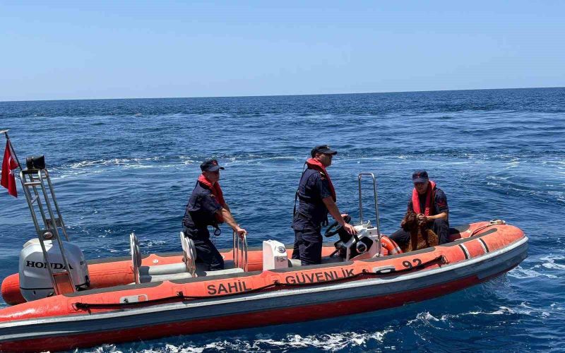 Alanya Kalesi’nde kayalık bölgede mahsur kalan dağ keçisi kurtarıldı
