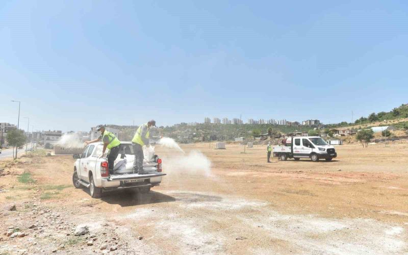 Kepez’de kurban bayramı sonrası temizlik ve dezenfekte çalışması
