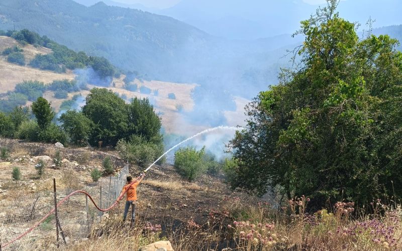Antalya’da ormanlık alanı tehdit eden yangına müdahale ediliyor
