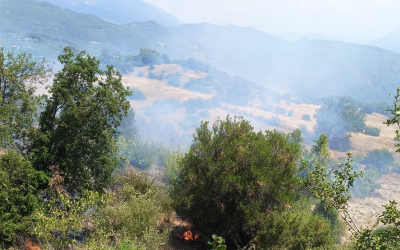 Antalya’da ormanı tehdit eden yangın kontrol altına alındı
