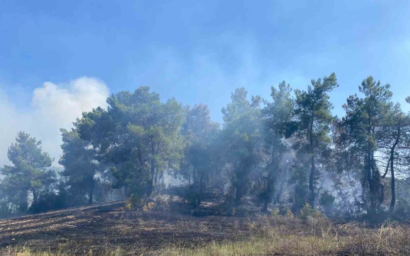 Antalya’da ormanlık alanda çıkan yangın 2 saatte kontrol altına alındı
