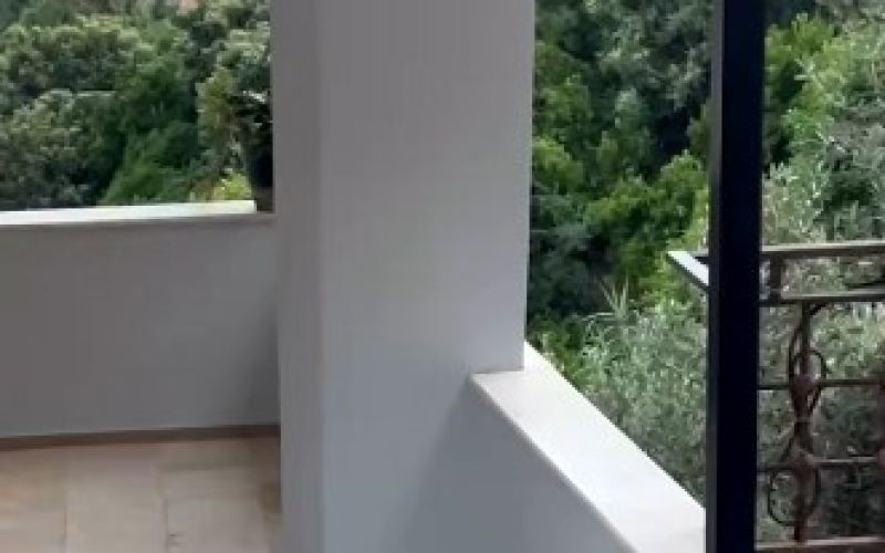 Alanya’da yılana kafa tutan kedi
