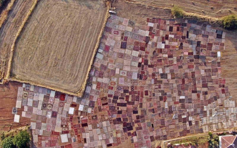 Tarlalarda milyonluk halı nöbeti başladı
