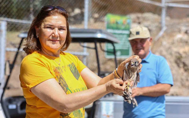 Yetişkinliğe erişen kerkenez yavruları doğal ortamlarına bırakıldı
