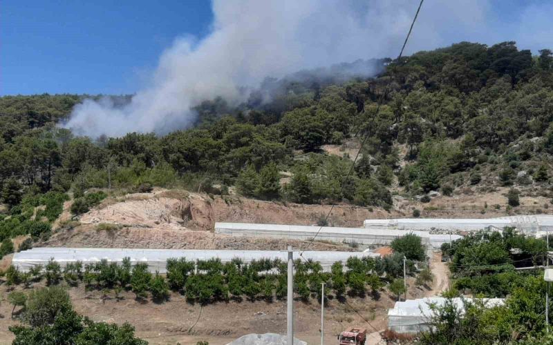 Antalya’da orman yangını
