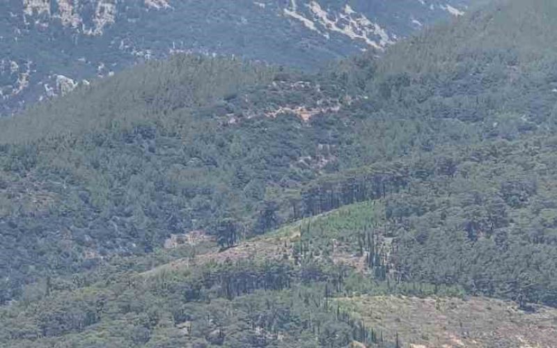Antalya’daki orman yangını kontrol altına alındı
