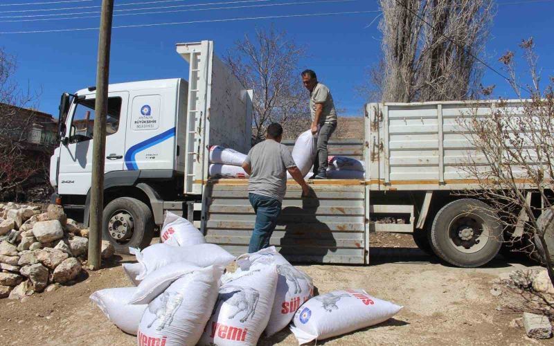 Büyükşehir’den yem desteğiyle süt üretimine güçlü katkı
