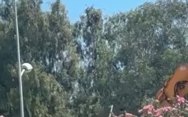Antalya’da yıkım gerginliği
