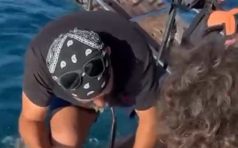 Alanya’da plastik çuvala dolanan yavru caretta caretta balıkçılar tarafından kurtarıldı
