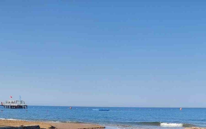 Manavgat’ta balık ölümleri alarm verdi, kimyasal kirlilik inceleniyor
