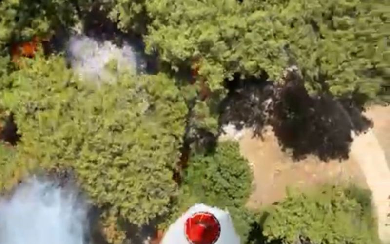 Antalya Muratpaşa’da orman yangını
