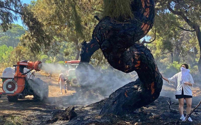 Antalya’daki orman yangınında duygulandıran anlar
