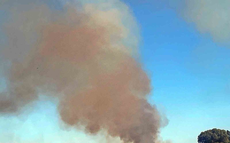 Antalya’da 3 farklı noktada çıkan yangın, 2 saatte kontrol altına alındı
