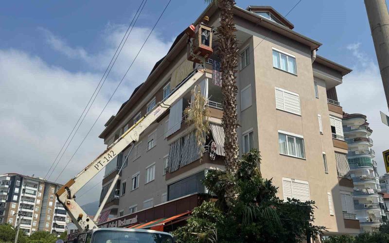 Alanya Belediyesi ve AEDAŞ’dan yangın riskine karşı önlem
