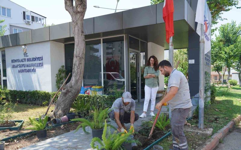 Konyaaltı’nda muhtarlık binaları çiçeklendiriliyor
