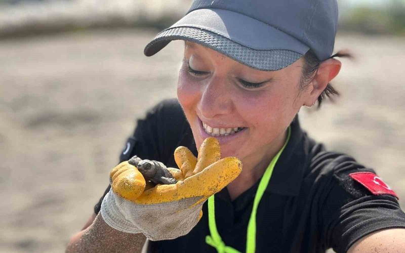 Antalya’da yavru caretta carettaların denizle buluşması için nöbet tutuluyor
