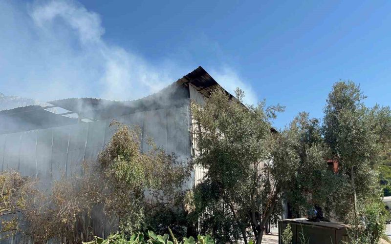 Alanya’da mobilya atölyesinde yangın
