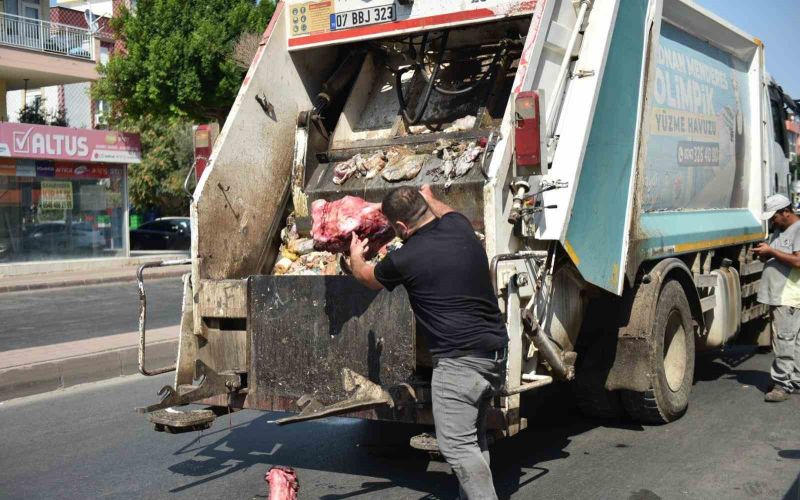 Yumurta paketinden hamam böceği yumurtaları çıktı, yapılan denetimden çıkanlar şoke etti
