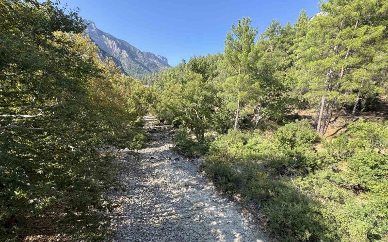 Üzümdere Irmağı kuraklığa yenik düştü, eski halinden eser kalmadı
