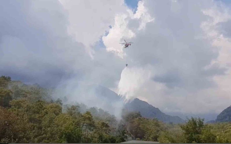 Kemer’de ormanlık alanda çıkan yangın büyümeden kontrol altına alındı
