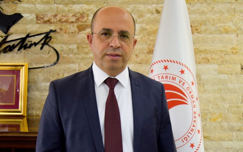 Torosların has ırkı keçi, çalıştayda konuşulacak
