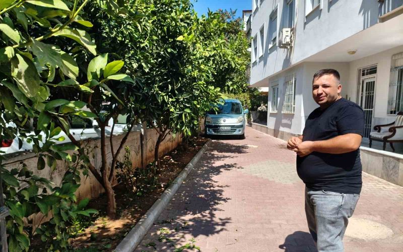 Antalya’da portakal koparma kavgası
