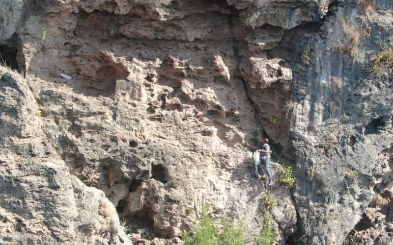 Denize sıfır sarp kayalıklarda ot topluyor, gören itfaiyeyi arıyor
