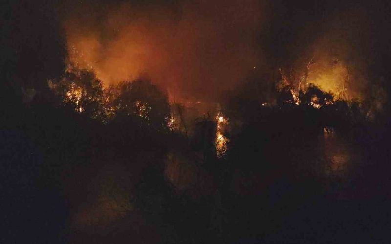 Manavgat’ta ırmak kenarındaki yangın korkuttu
