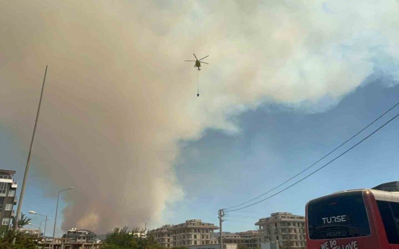 Alanya’da ormanlık alanda yangın
