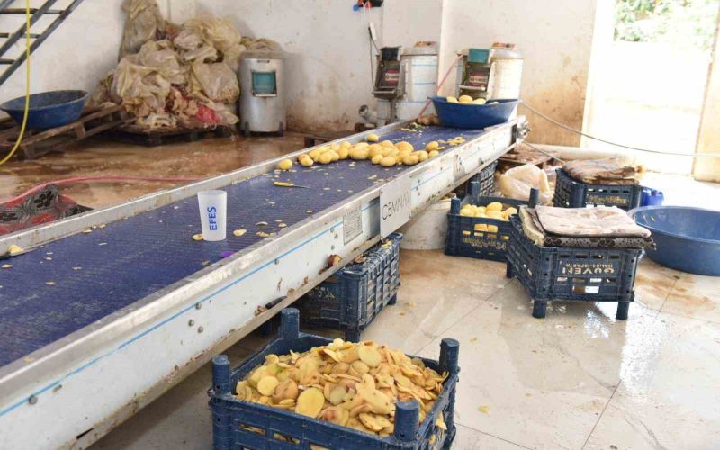 Otel ve restoranlara verilen 1,5 ton işlenmiş patates imha edildi

